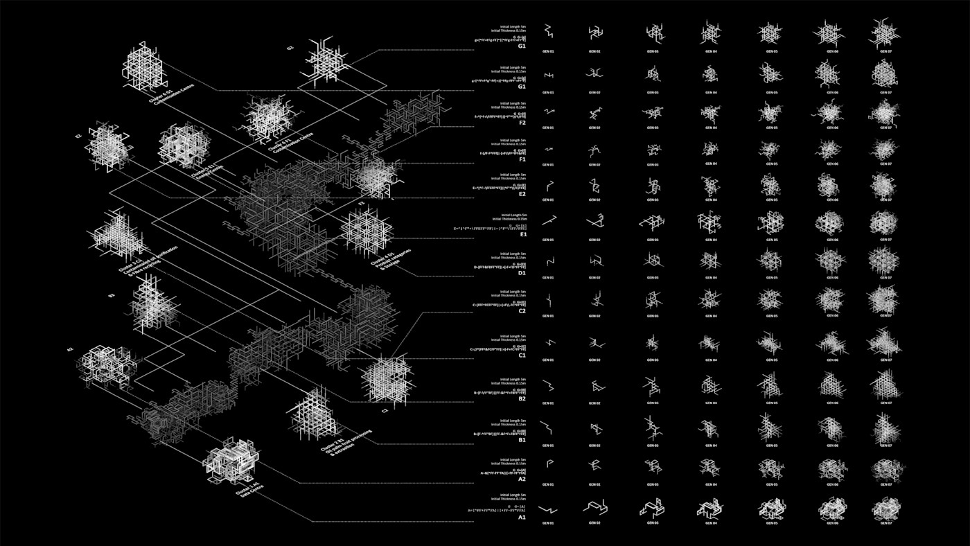 From Palm Oil Plantation to Rainforest