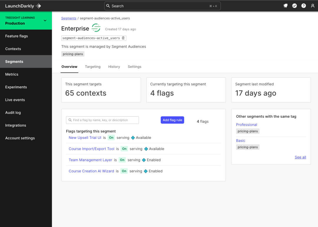 The LaunchDarkly segment overview page detailing a segment synced from a Segment Audience.