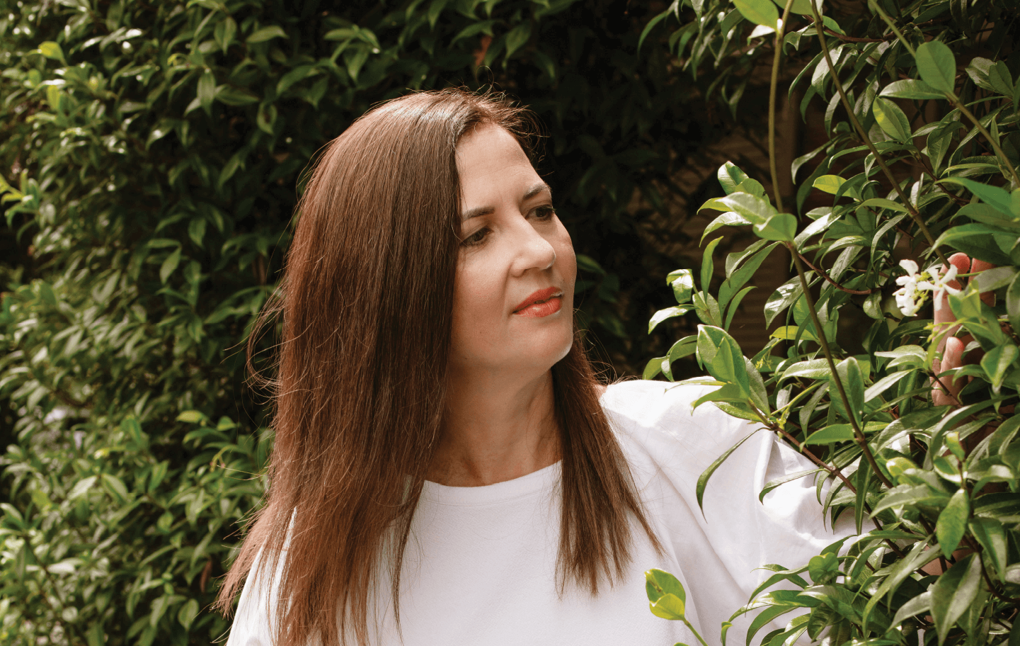 lady looking at flowers on a hedge