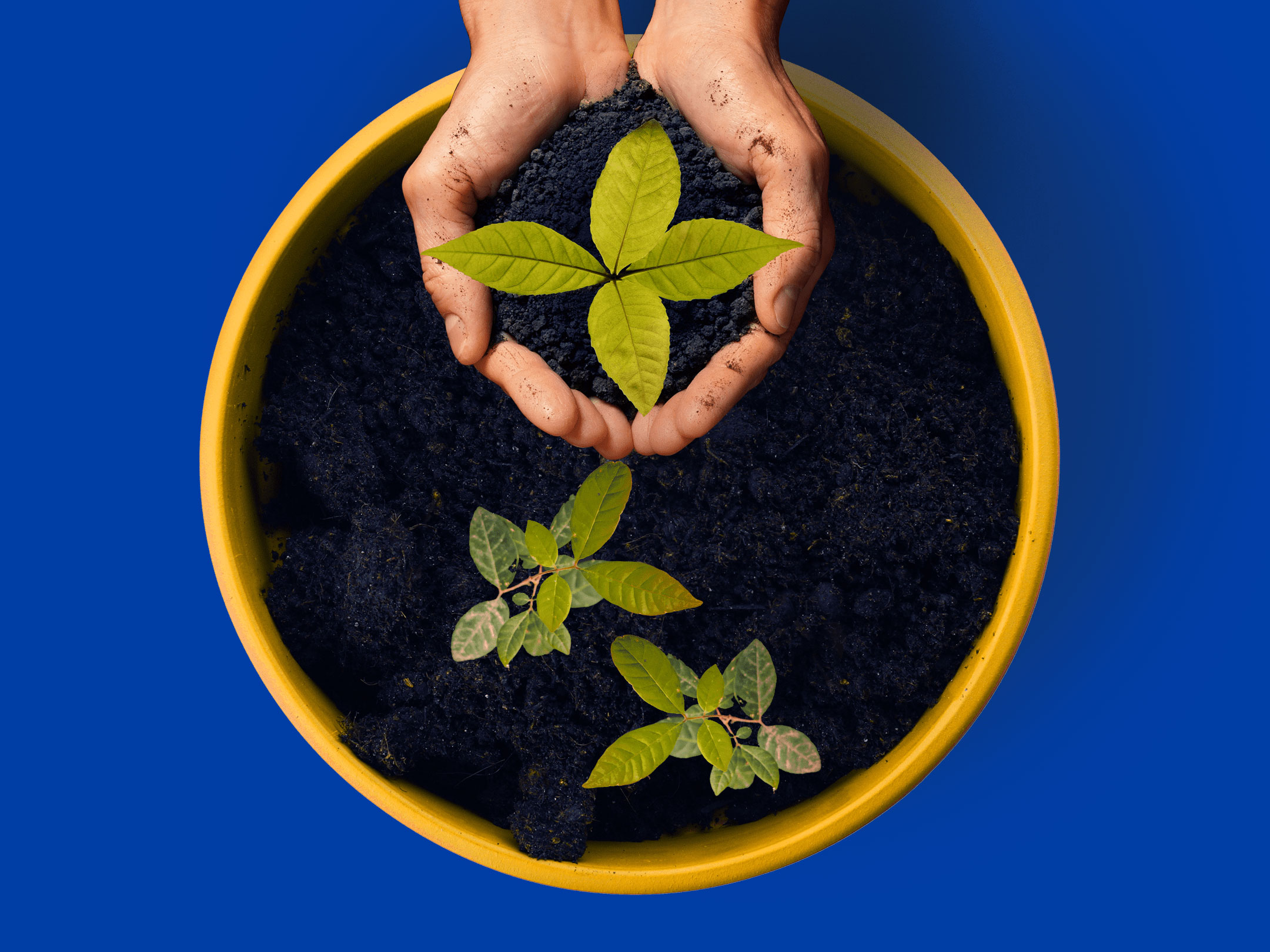 Print-FAQ-Hero-Image-3