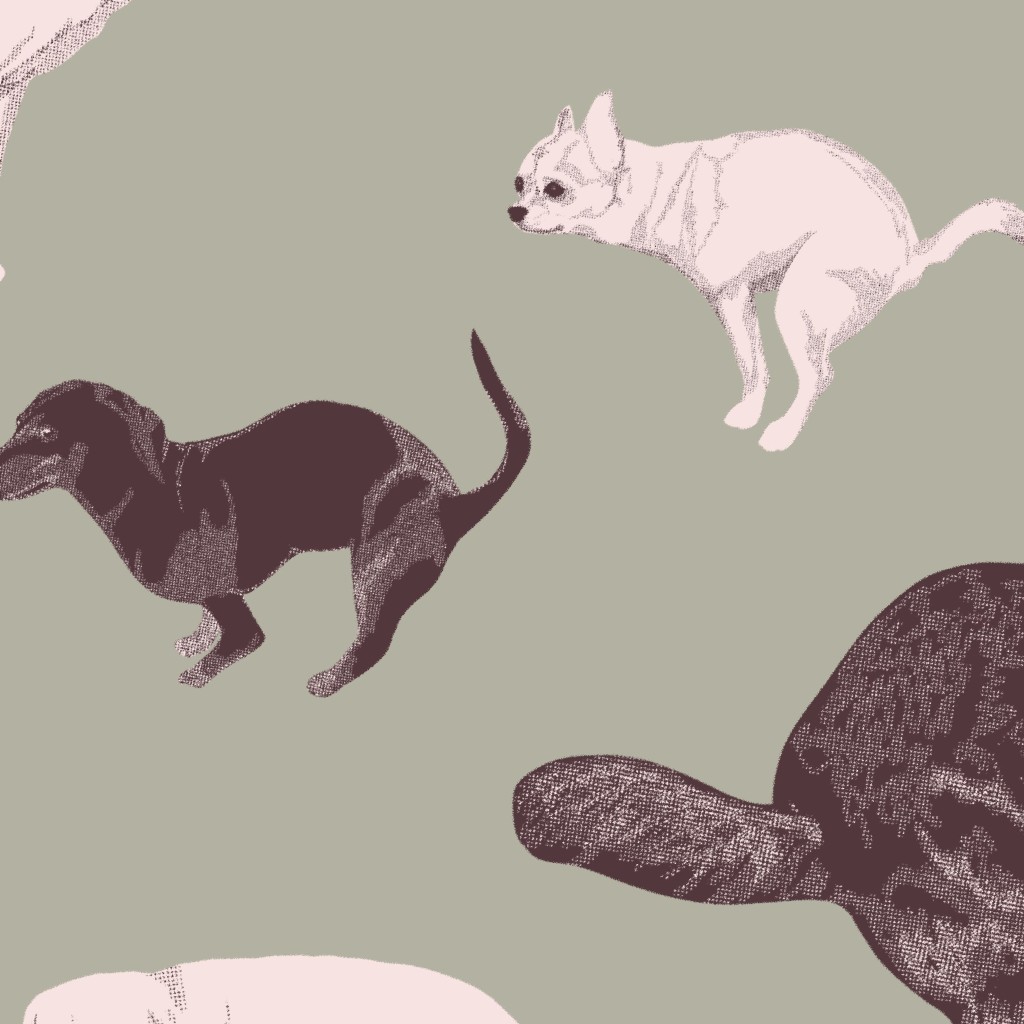 Dogs design