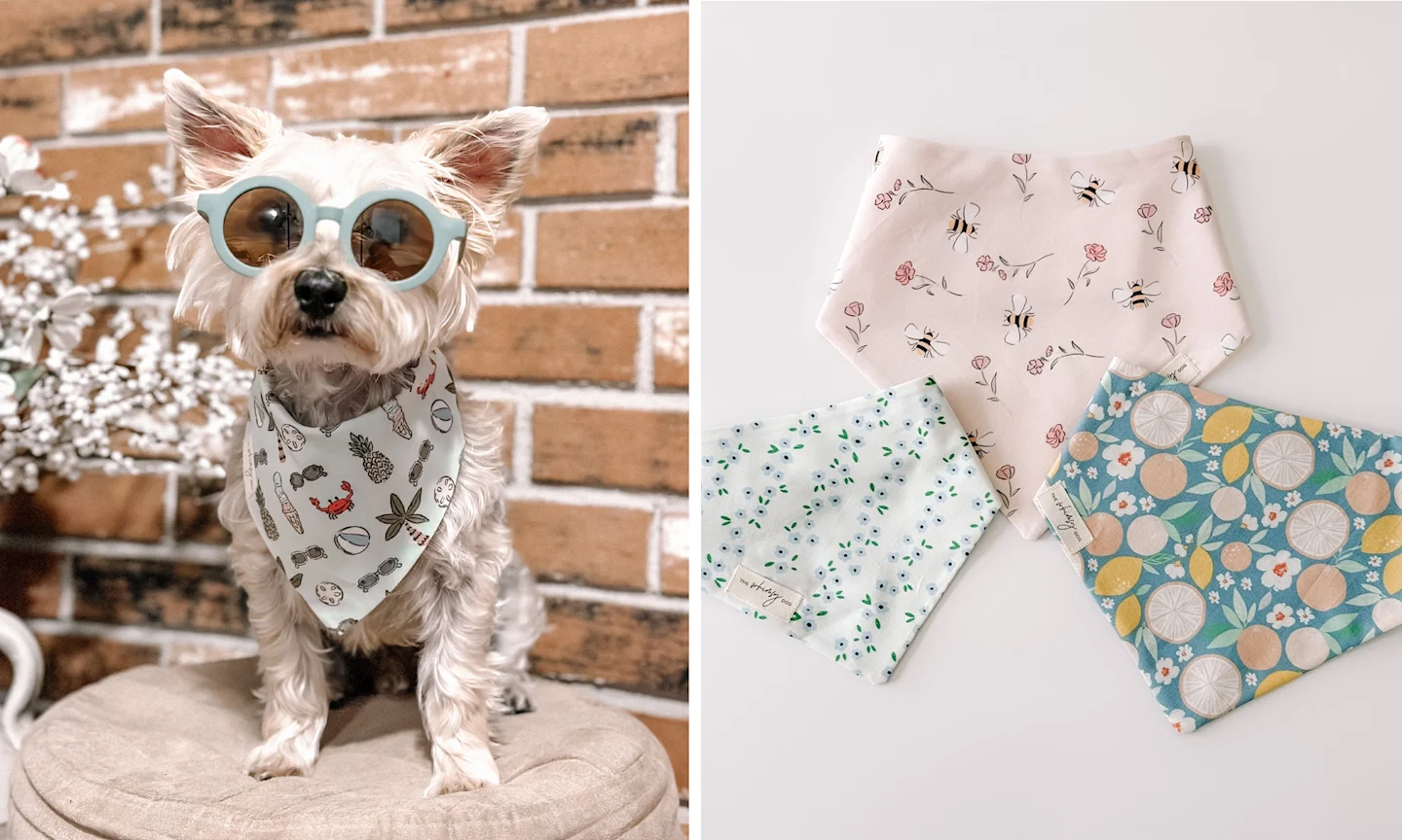 2 images side by side. In the left image, a small scruffy dog wears a pair of light blue sunglasses and a bandana with a beachy theme. In the right image, 3 bandanas in pastel patterns are laid on a surface. 