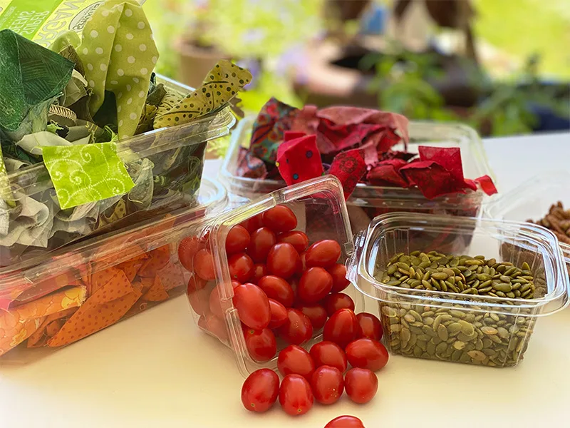 Clear containers on a table hold fabric, tomatoes, and seeds individually.
