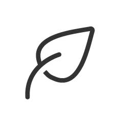 Leaf icon