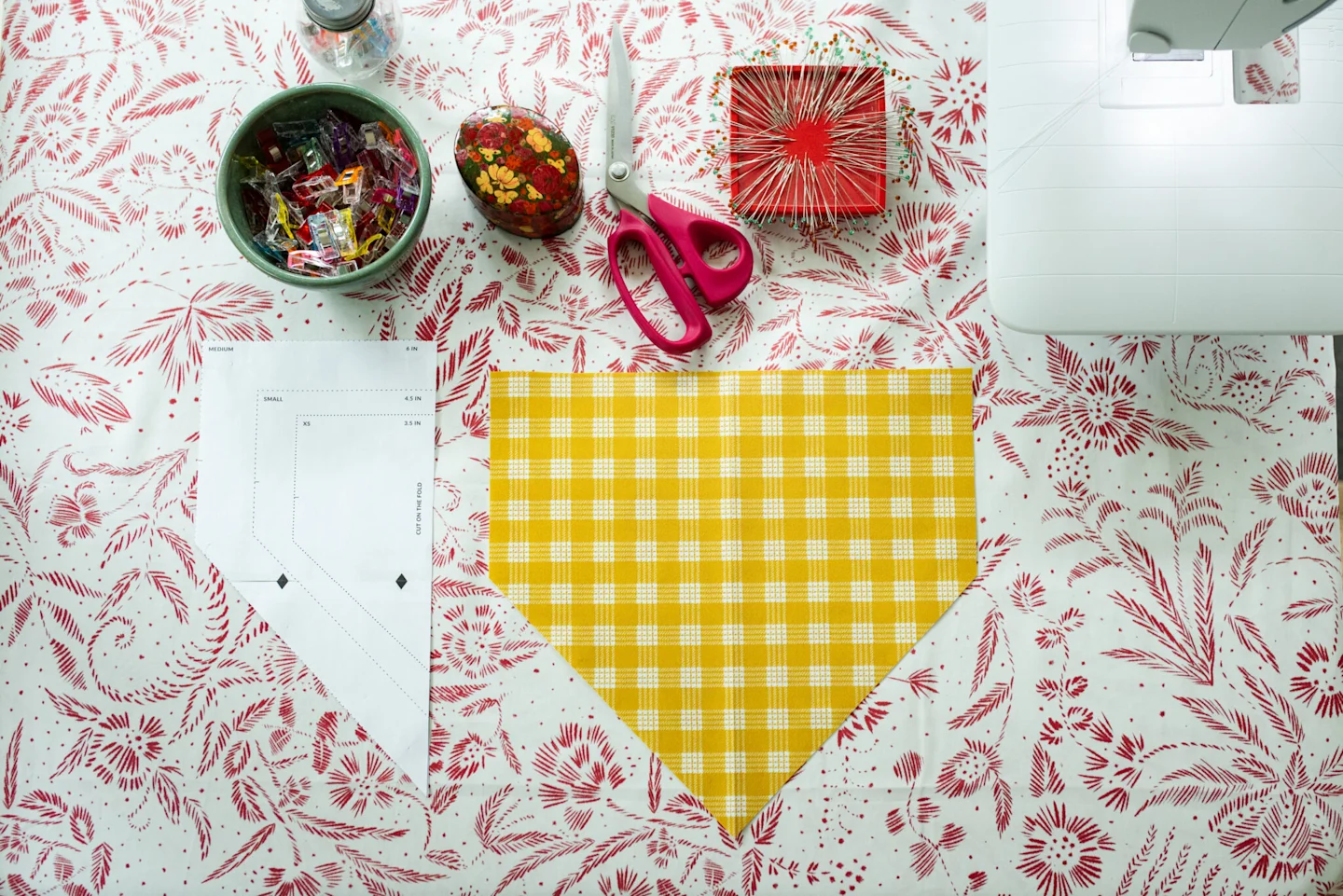 25_8_DogBandana_Blog-12-2048x1367