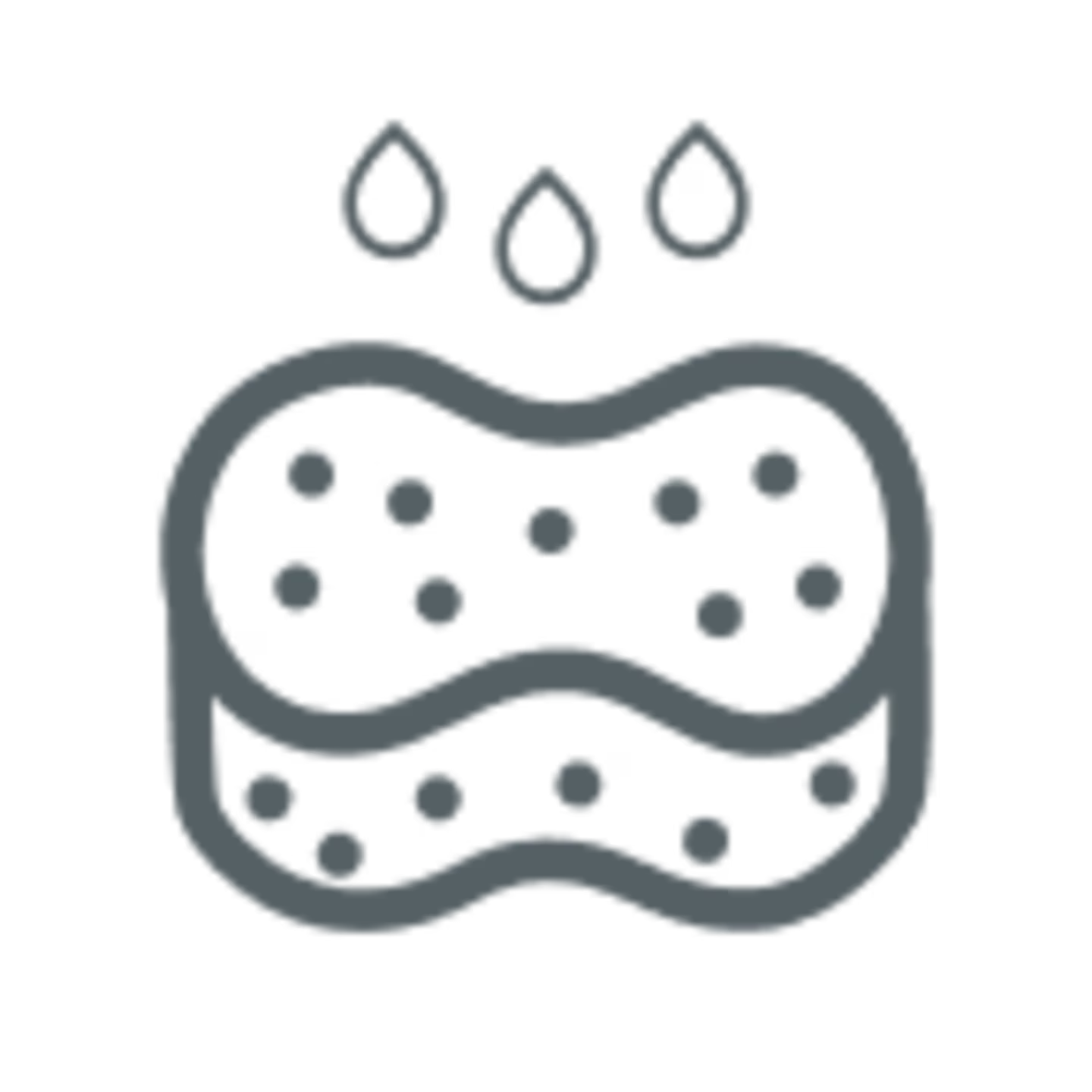 Sponge icon