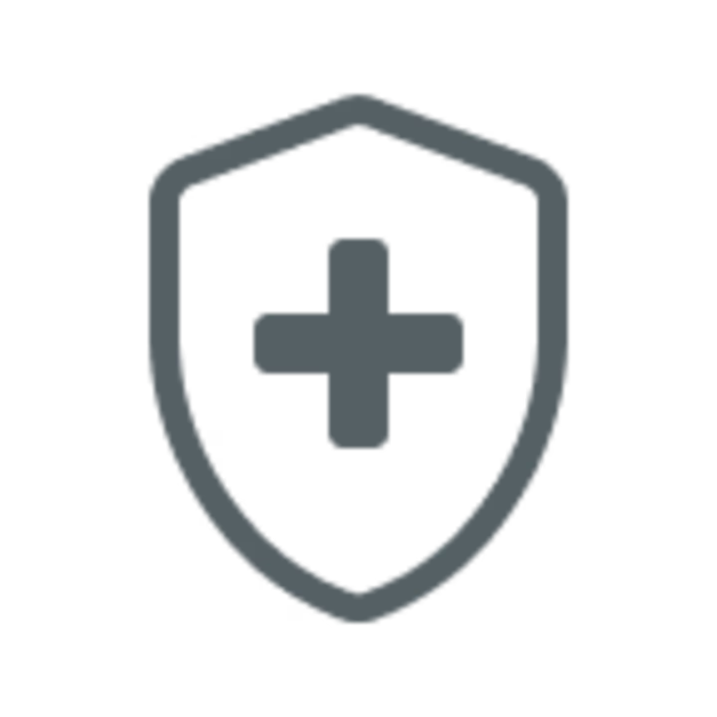 Icon of a shield with a plus sign in it.
