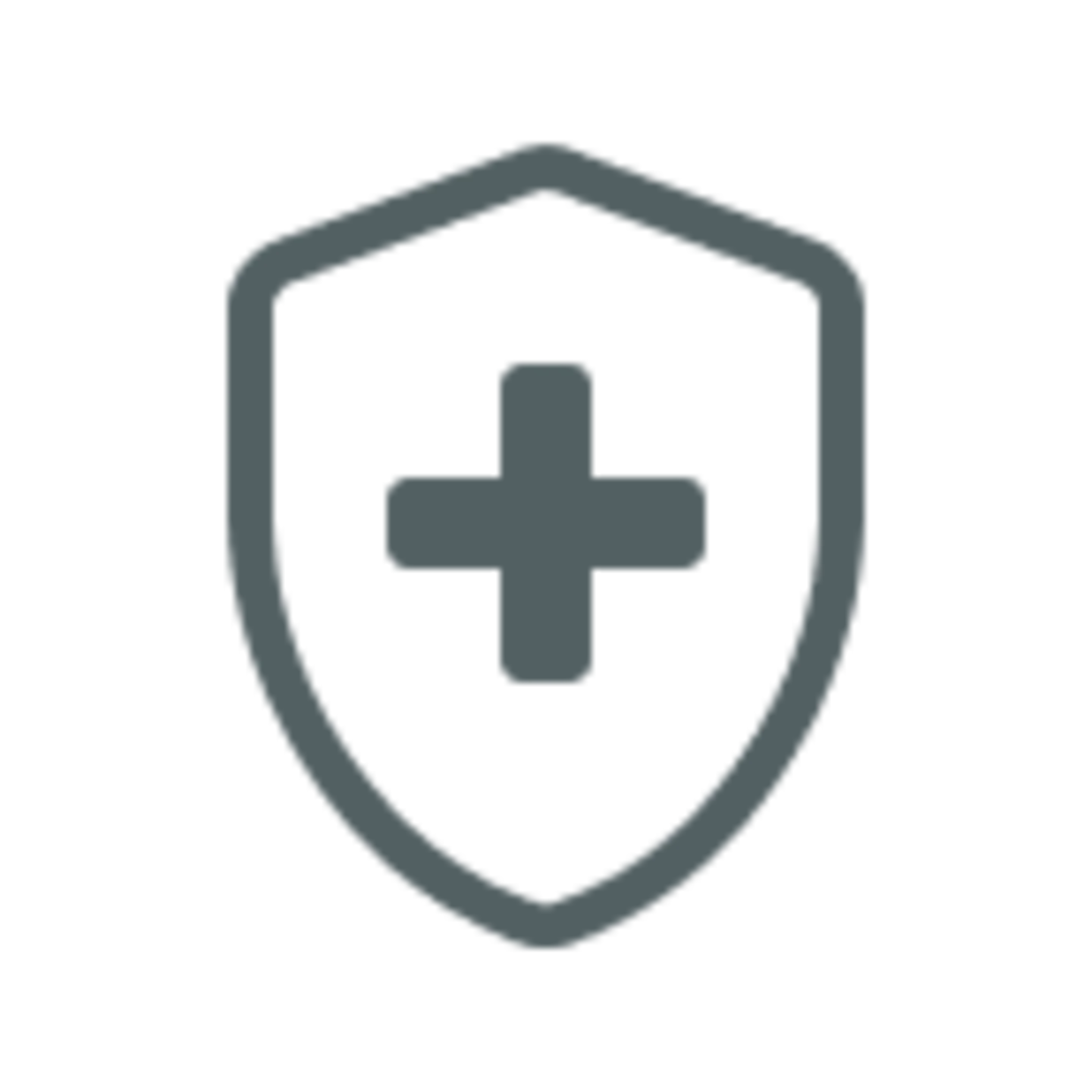 Icon of a shield with a plus sign in it.