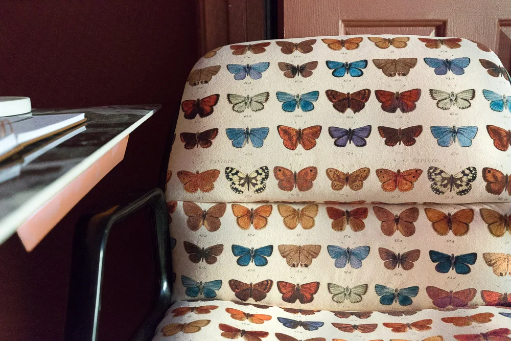 Finished upholstered chair with butterfly fabric