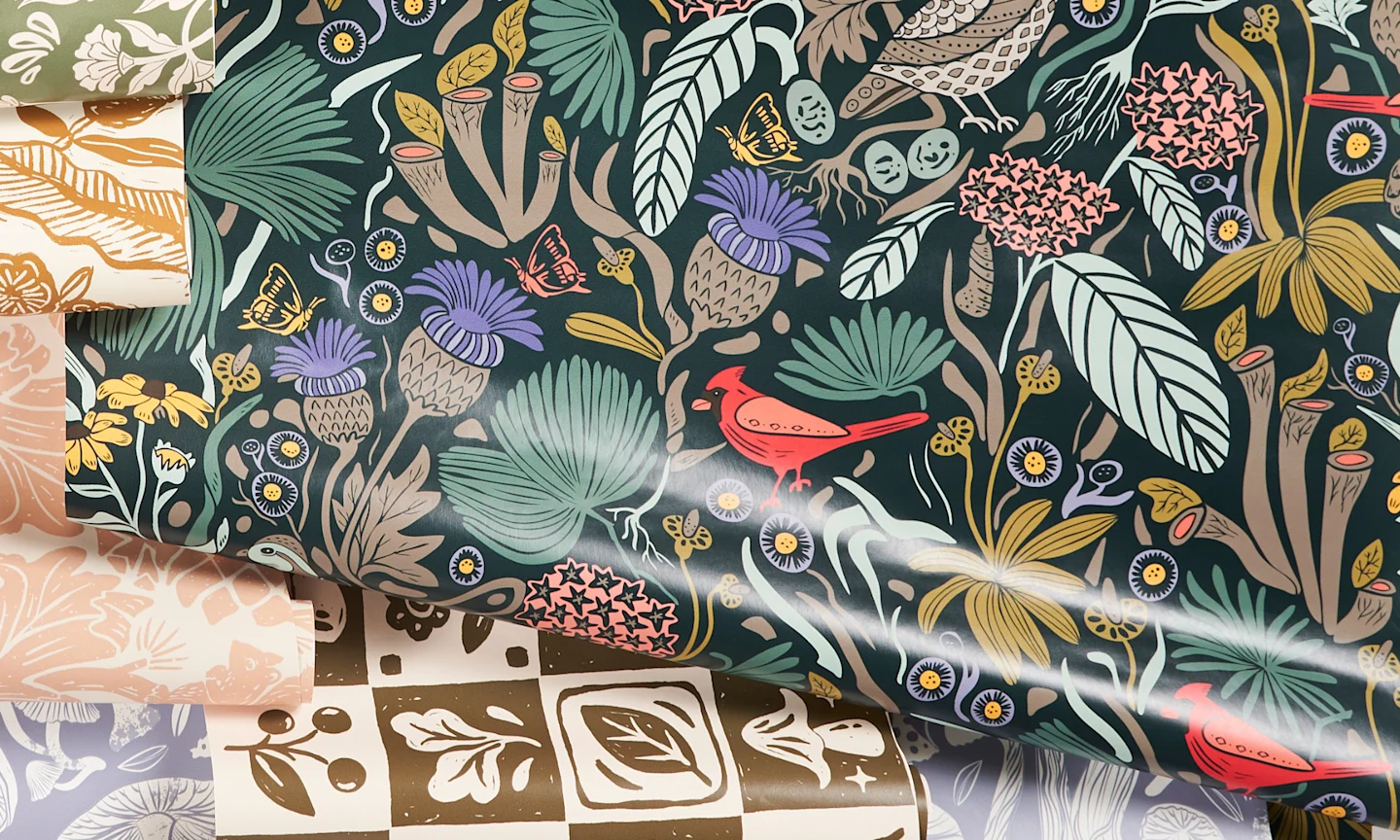 Peck and Plume by Kaite Hayes