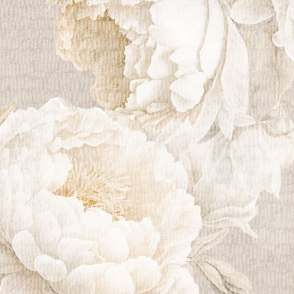 Large peonies. Neutral beige floral vintage home decor. Boho flowers. Wallpaper by digitalarsiart
