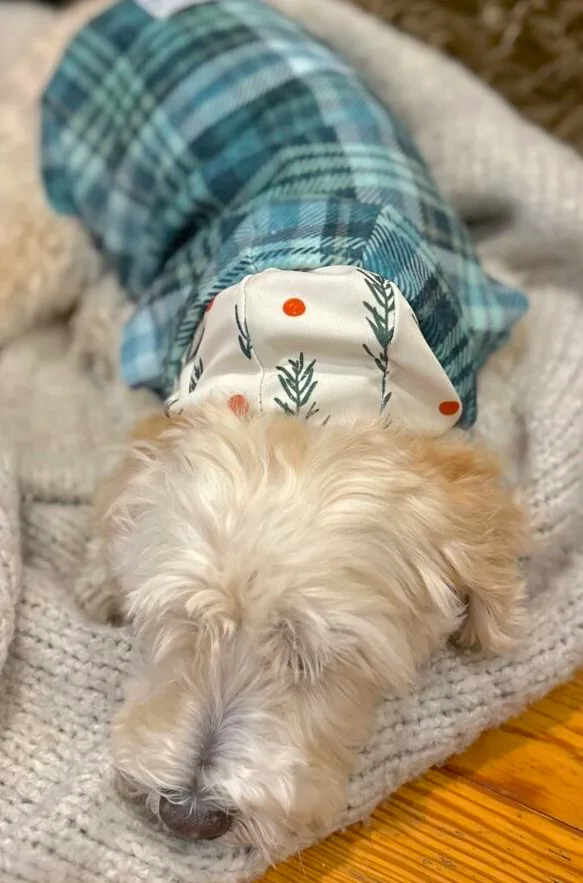 A small white dog wears a green plaid dog jacket and is snuggled on a grey blanket in front of a fireplace. The image shows the jacket from above.
