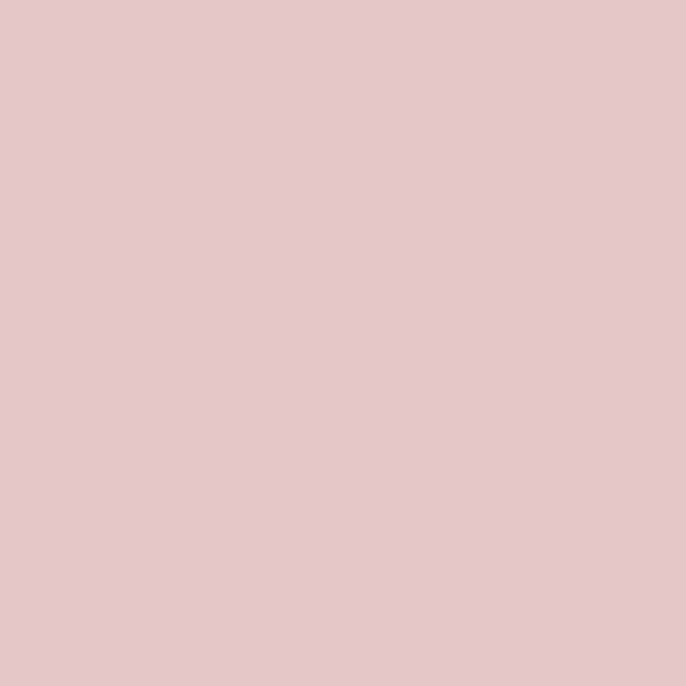 Beachy Pink Color