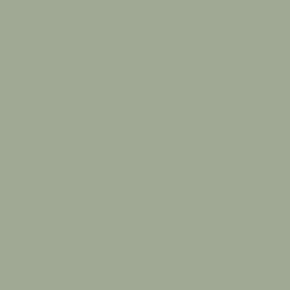 Soft green color
