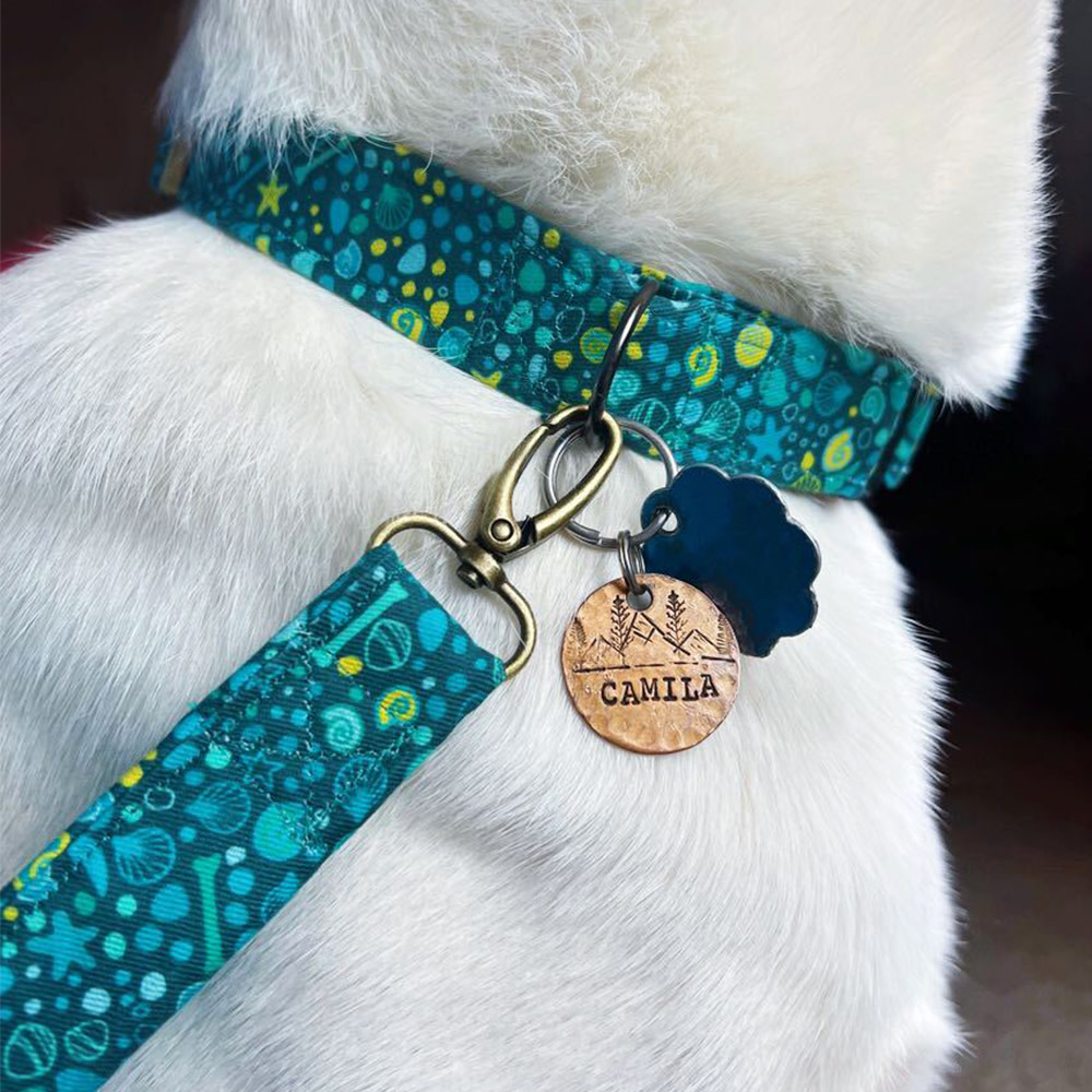 White dog wearing blue patterned leash and collar.