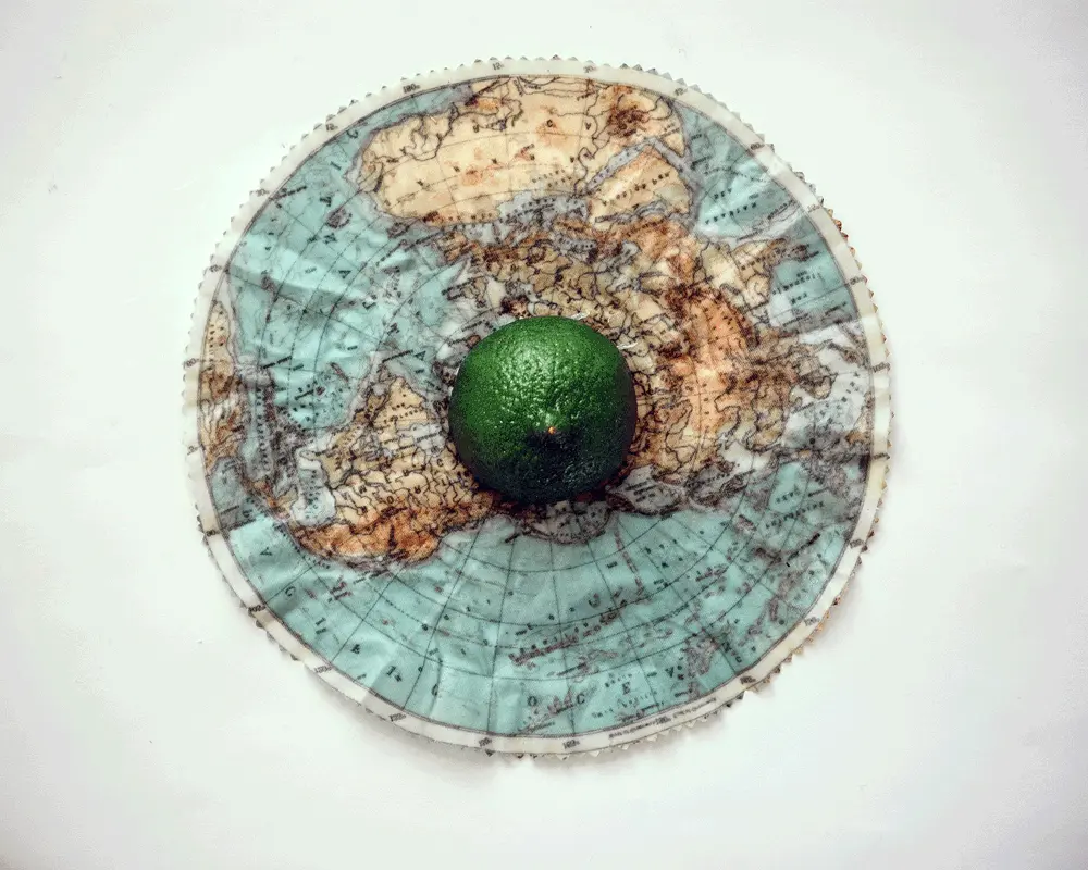 DIY Reusable Food Wraps | Spoonflower Blog