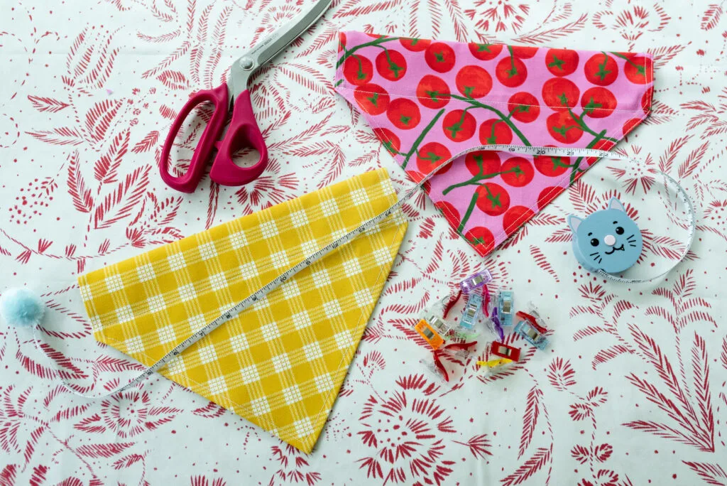 25_8_DogBandana_Blog-26-1024x684