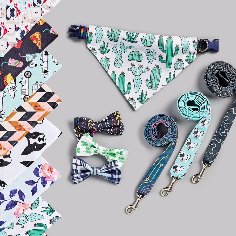 Pet bandanas leashes and collars on a grey background.