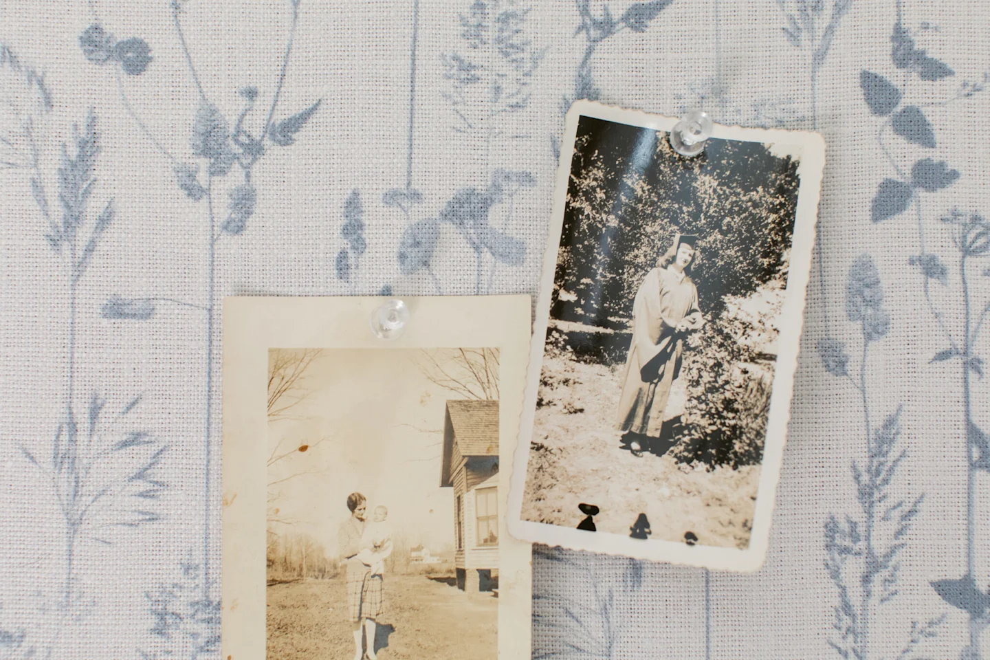 A close up of the bulletin board’s fabric cover. The fabric design has a white background and light blue flowers and the weave of the fabric is highlighted at this distance. Two black-and-white vintage photos, one of a woman holding a baby in front of a h