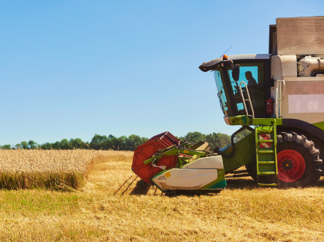Financiamiento en Dólares 