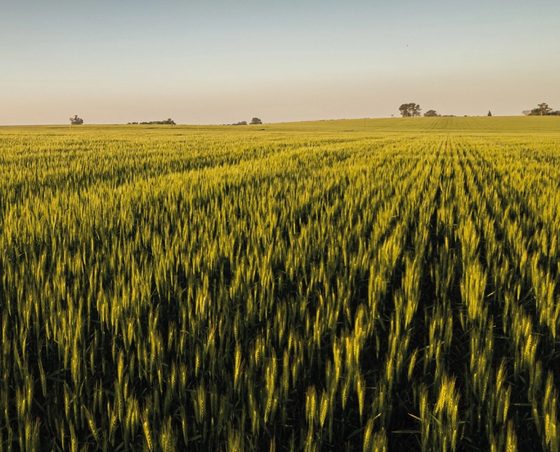 Cooperativa Agropecuaria La Paz