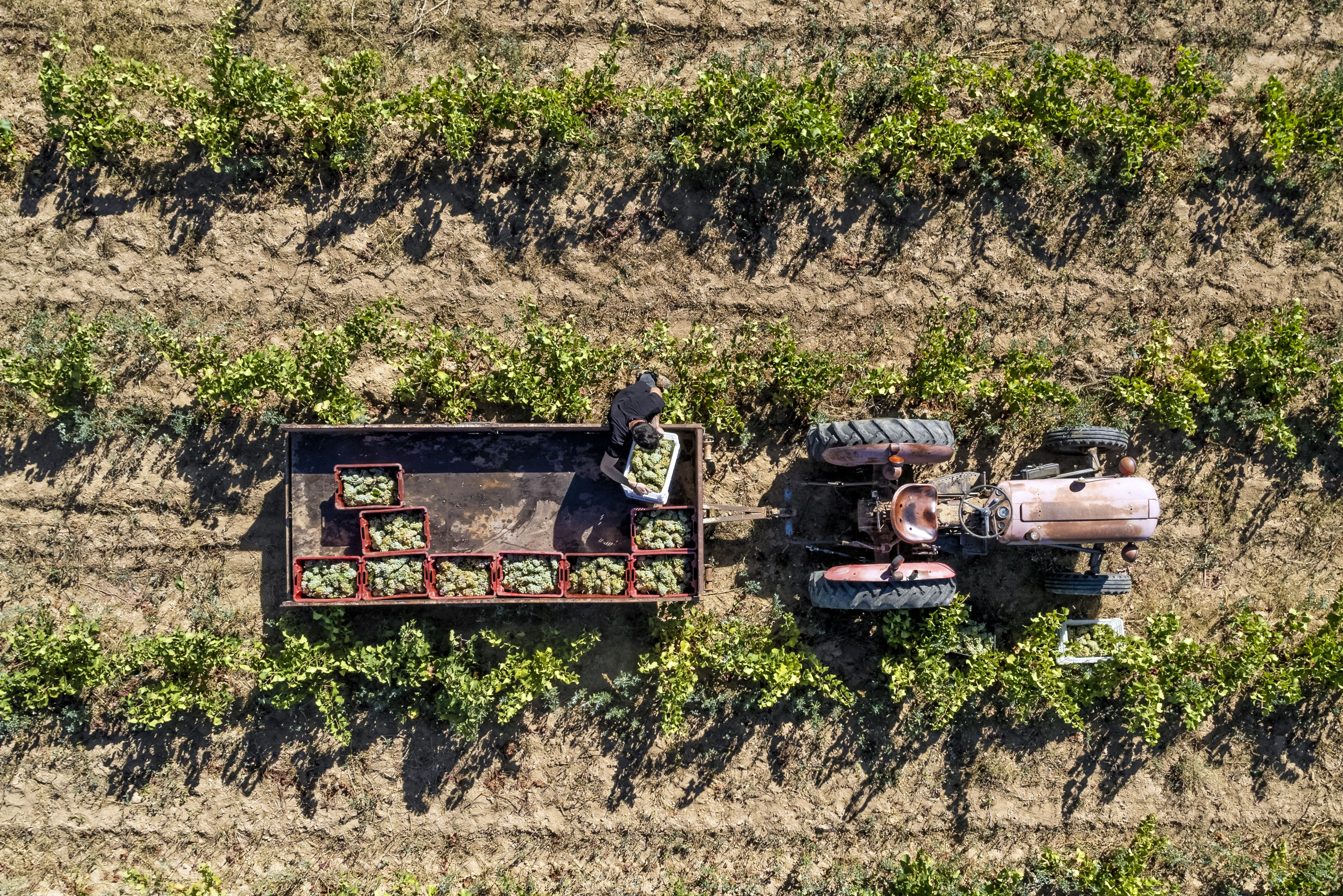 Línea de financiamiento para Maquinarias Agrícolas