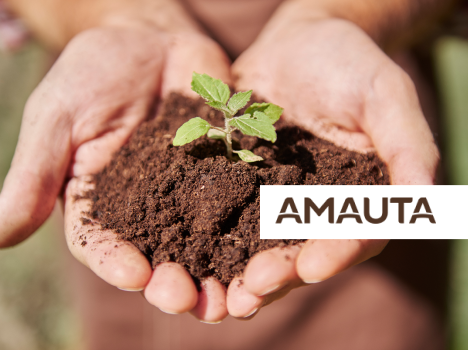 AMAUTA