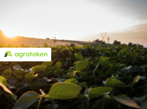 AGROTOKEN
