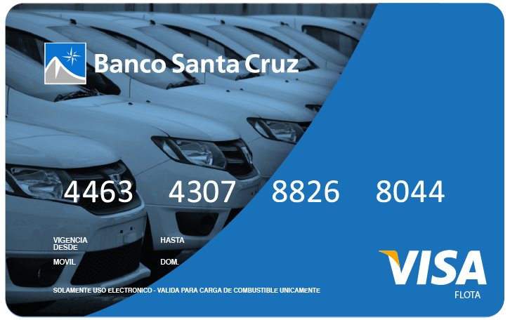 Tarjeta Visa Flota del Banco Santa Cruz