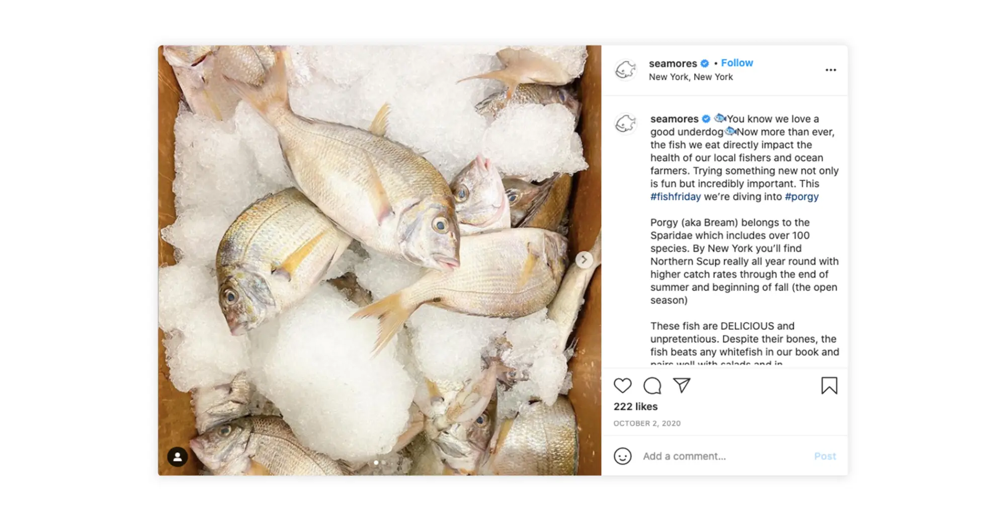 Seamore’s spreads awareness about its sustainable sourcing methods and educates visitors through Instagram