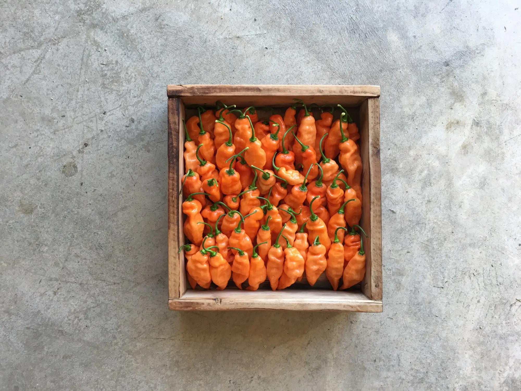 a box of oranges