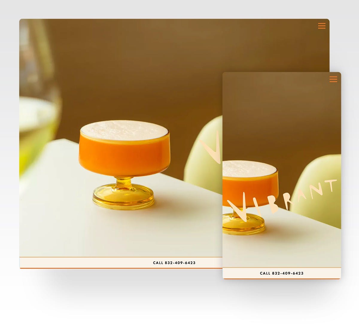 Screenshot of Vibrant's website