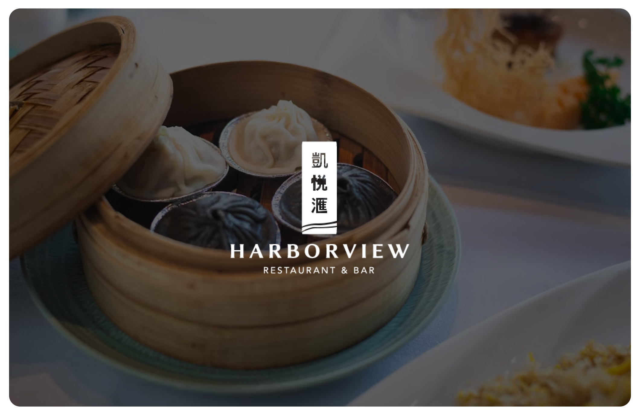 Harborview Goes From Website Skeptic to Website Super User BentoBox