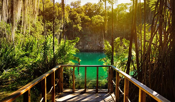 Deck overlooking a cenote in a cave