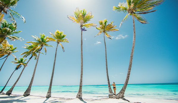 Woman leaning against a palm tree on a beautiful beach