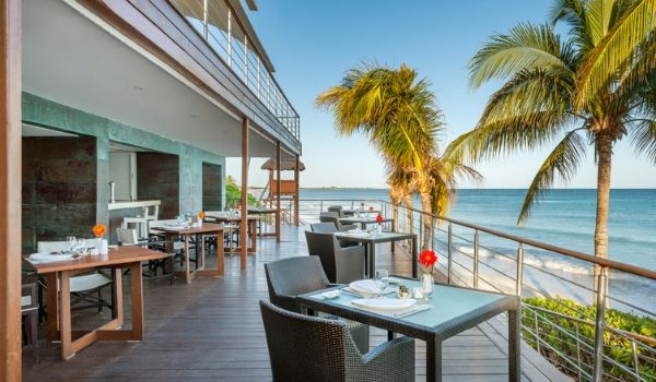 Terrace overlooking a beautiful beach with lush palm trees