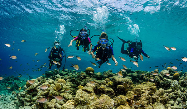 Personne faisant de la plongée sous-marine parmi les poissons tropicaux