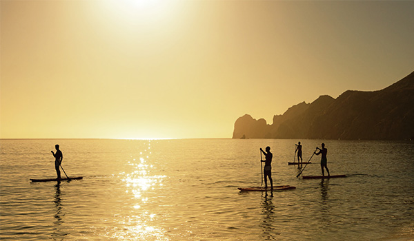 Several people paddle boarding along the shore at sunset