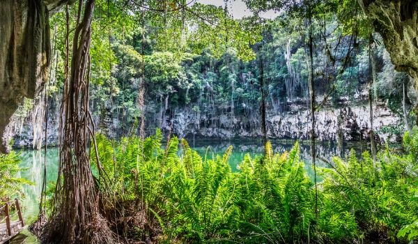 Las Ondas Indigenous Cenote