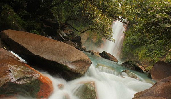 Rushing river with a waterfall surrounded by lush jungle