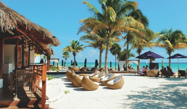 Beach lounge area with shady palm trees