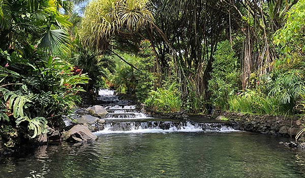 Hot springs with cascades surrounded by lush rainforest