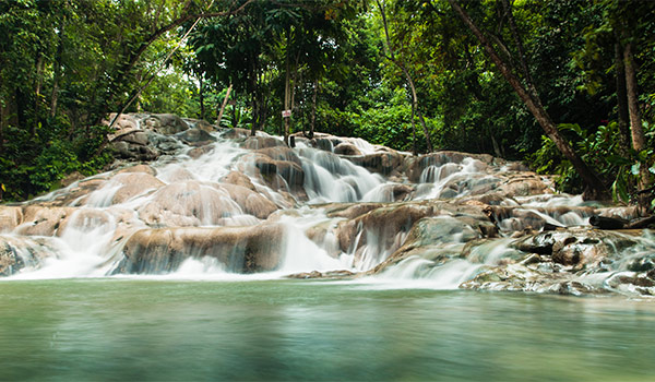 Waterfall with rushing cascades in a lush forest