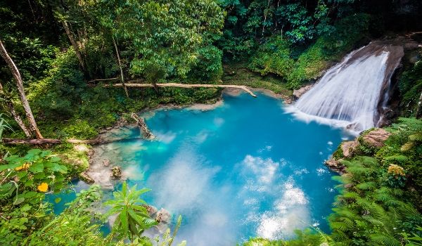 Bassin tranquille et petite chute entourés de paysages de jungle luxuriante