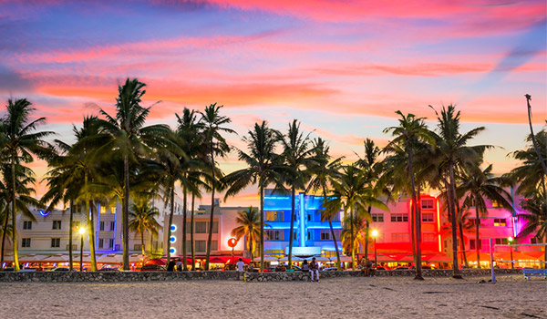 Centre-ville de Miami entouré de palmiers et illuminé pour la nuit