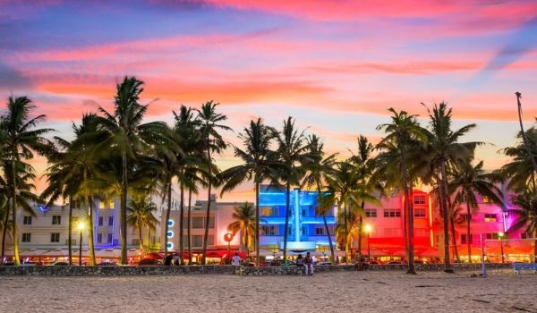 Downtown Miami lit up at night and surrounded by palm trees