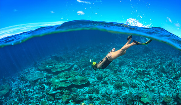 Underwater view of a person snorkelling above a coral reef