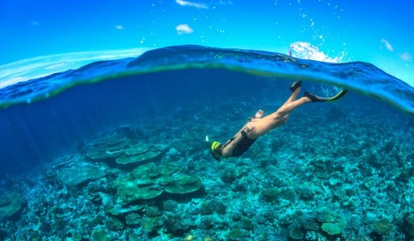 Side view of person snorkelling above a coral reef