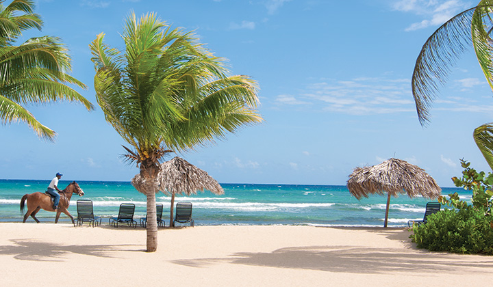 Jamaica All Inclusive Vacation Deals Sunwingca