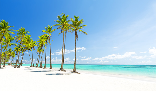 People walking along a palm-lined beach